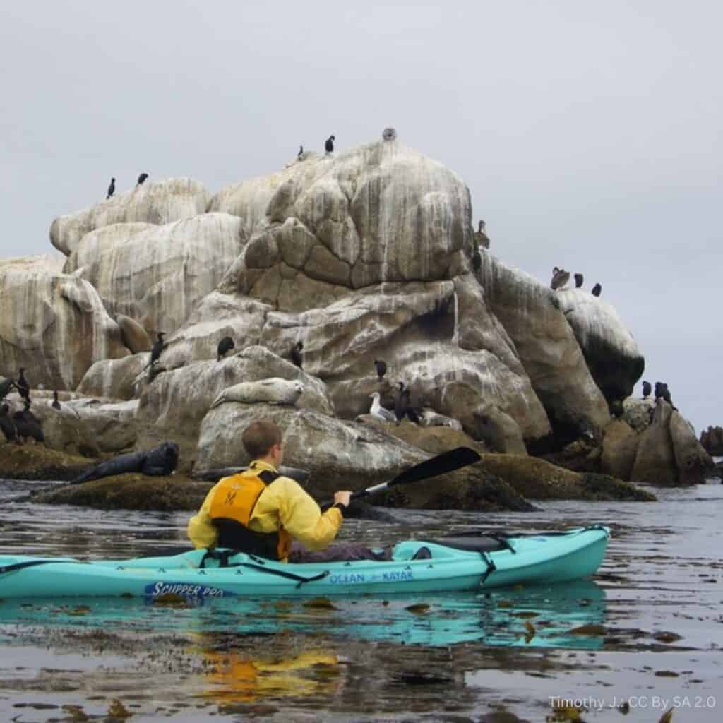 Kayaking at Monterey Bay